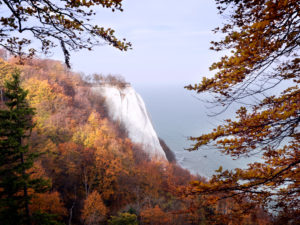 Kreidefelsen auf Rügen im goldenen Herbst Kreidefelsen auf Rügen im goldenen Herbst